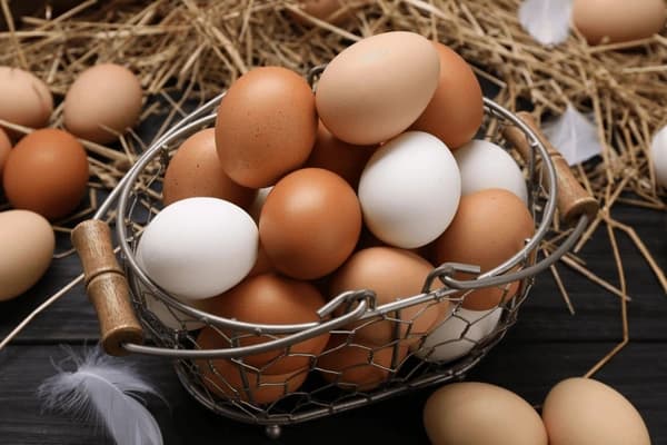 Eggs